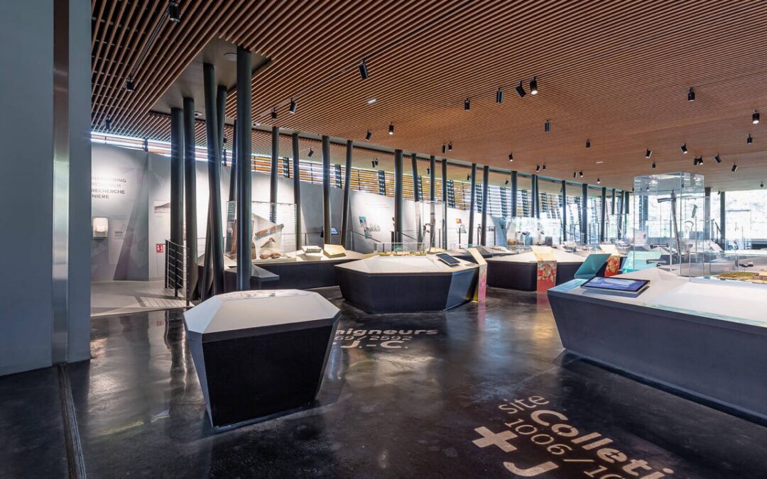 TRÉSORS ARCHÉOLOGIQUES DU LAC DE PALADRU