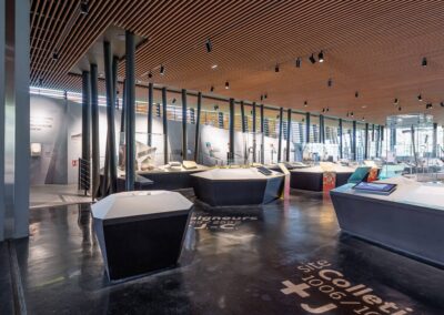 TR&Eacute;SORS ARCH&Eacute;OLOGIQUES DU LAC DE PALADRU